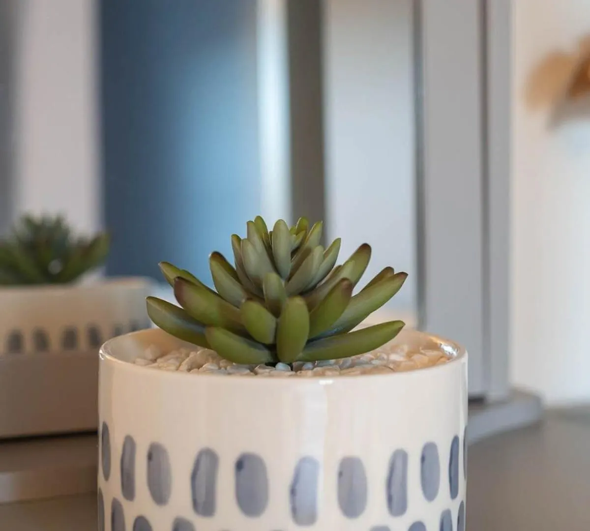 Host & Stay - Portland Apartment 布赖顿